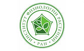 Прощаев Кирилл Иванович
